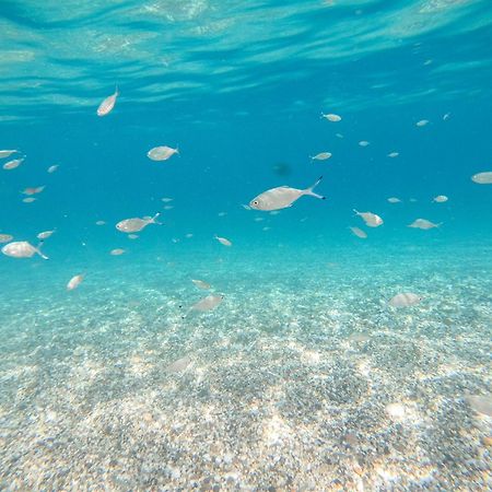 Complejo Turistico Los Bayiyos Agua Amarga  Dış mekan fotoğraf