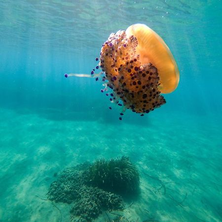 Complejo Turistico Los Bayiyos Agua Amarga  Dış mekan fotoğraf