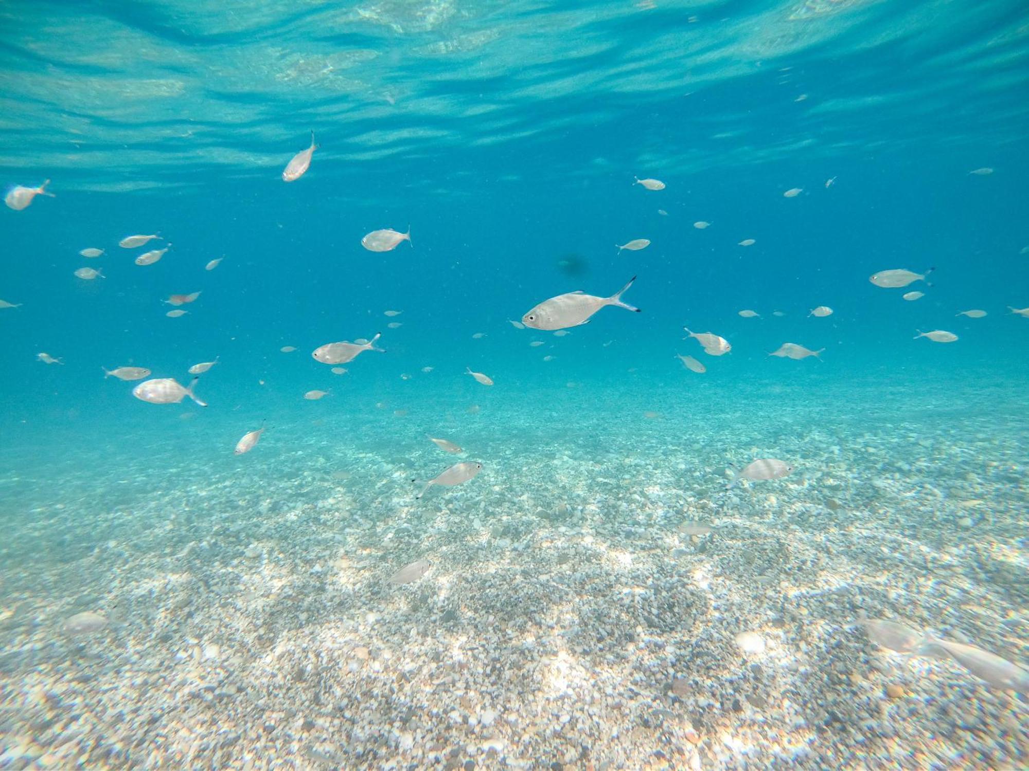 Complejo Turistico Los Bayiyos Agua Amarga  Dış mekan fotoğraf