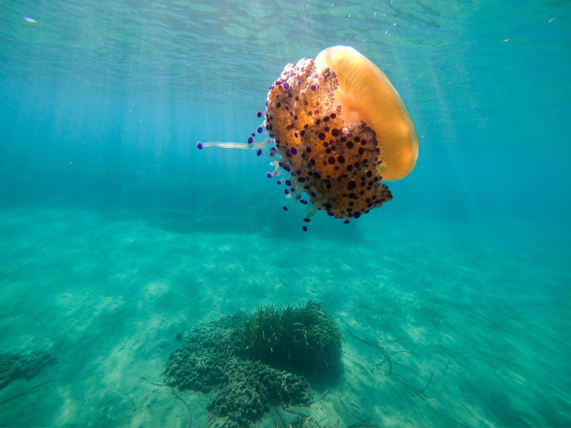 Complejo Turistico Los Bayiyos Agua Amarga  Dış mekan fotoğraf